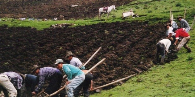 La ciencia, una vida de retos frente a los problemas rurales | El ...