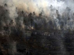 La zona afectada es poco más del doble de la superficie del Bosque de La Primavera. EL UNIVERSAL  /