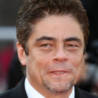 Benicio del Toro e hija de Rod Stewart serán padres