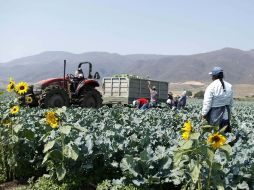 Las mujeres dedican 261 minutos más que los hombres a labores sin remuneración. E PACHECO  /