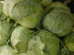 los niveles de radiación fueron detectados en espárragos, lechugas, coles y otros vegetales. ARCHIVO  /