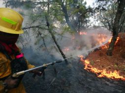 Las condiciones climatológicas han sido factor determinante en el incremento de incendios forestales en Jalisco. A. GARCÍA  /