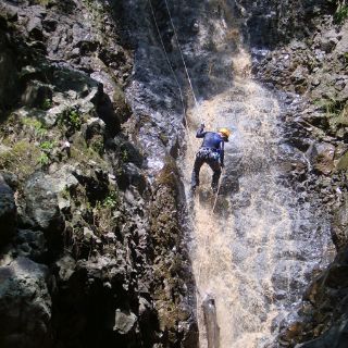 Tonalá, un acantilado viviente
