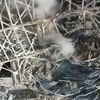 Radiación aumenta en aguas cercanas a Fukushima