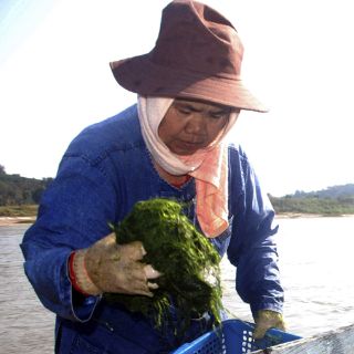 Laos construirá una presa hidroeléctrica sobre el río Mekong