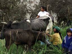 Los artistas desean pintar la vida diaria y las costumbres de los ecuatorianos. REUTERS  /