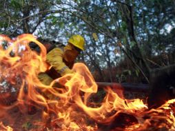 Protección Civil de Zapopan dice que el sofocamiento de incendios forestales es propio de los brigadistas capacitados. ARCHIVO  /