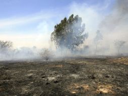 El incendio en la Sierra de Tesistán inició la madrugada del viernes pasado. A. GARCÍA  /