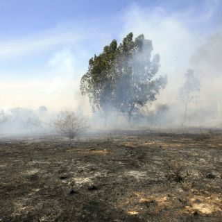 Brigadistas ciudadanos denuncian nulo apoyo de autoridades