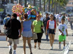 Puerto Vallarta es el municipio con más casos de dengue en lo que va del año, con nueve contagios confirmados. ARCHIVO  /