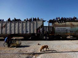 El peligro para los migrantes que viajan hacia Estados Unidos en la ruta del Tren es zona de riesgo. ARCHIVO  /