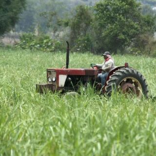 Reforma laboral no responderá a caprichos políticos, dice CROC