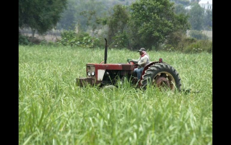La ley laboral consagra la seguridad social y los derechos colectivos de los trabajadores. ARCHIVO  /