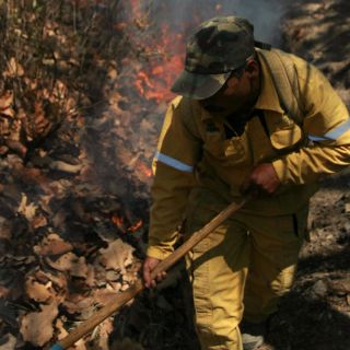Refutan brigadistas declaraciones de autoridades