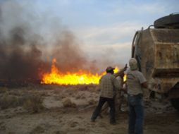Brigadas trabajan para frenar los incendios. EFE  /