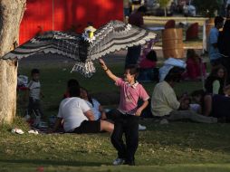 El Parque Metropolitano ofrece atractivos para visitantes de todas las edades. En la foto, un pequeño intenta volar una cometa. S.NÚÑEZ  /
