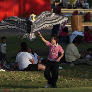 Espacios verdes dentro de la ciudad