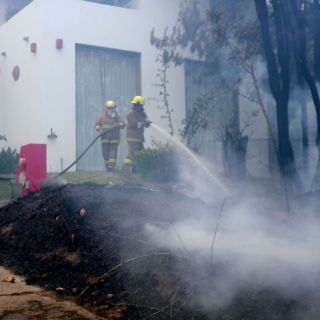 Combaten 225 brigadistas incendio en La Primavera