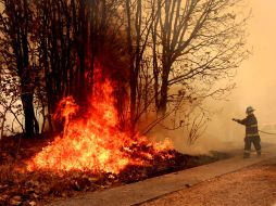 El incendio provocó que se desalojara a los moradores de 142 casas en El Palomar y otras 42 en Bugambilias. A. HINOJOSA  /