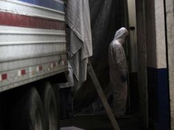 Los 50 cuerpos que fueron hallados en varias fosas clandestinas en San Fernando, llegaron por la noche al DF. REUTERS  /