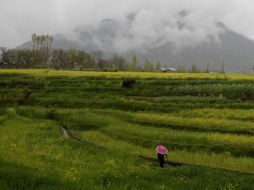 El helicóptero cayó sobre una colina. AP  /