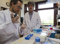 Mediante la exposición a la luz ultravioleta, los polímeros tienen la capacidad intrínseca de autorrepararse. EFE  /