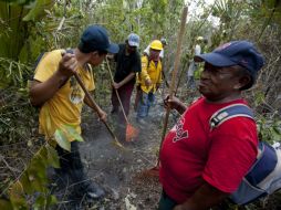 Brigadistas de la Comisión Nacional Forestal y bomberos de Cancún combaten los incendios forestales. NTX  /