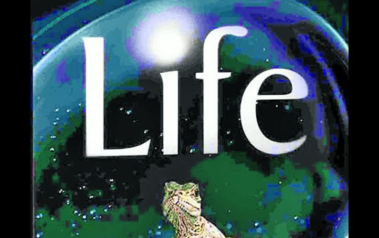 El documental de la BBC muestra la maravilla de la vida natural. ESPECIAL  /