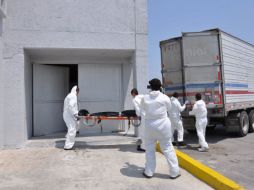 El descubrimiento se suma a los recientes hallazgos de cuerpos en fosas clandestinas de Tamaulipas. ARCHIVO  /