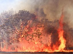 El incendio consumió 283 hectáreas y provocó el desalojo de 528 personas. A. HINOJOSA  /