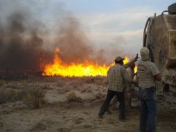 Un grupo de hombres trabajó en una de las zonas afectadas por el incendio de árboles y arbustos en la serranía de Coahuila. EFE  /