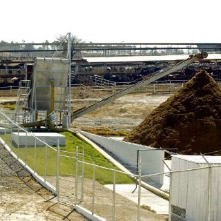 Bonos verdes, la 'indulgencia' ambiental