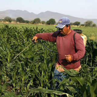 Estiman que 64% de los suelos de México presentan degradación