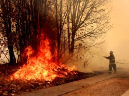 El incendio del 19 de abril en La Primavera obligó el desalojo de 528 residentes de dos fraccionamientos en Zapopan. A. HINOJOSA  /