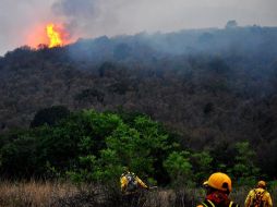 La sierra de Chihuahua también ha sido afectada por un incendio forestal que alcanza a más de 193 mil hectáreas. EFE  /