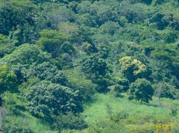 Ocho personas fallecieron debido a que los recurrentes deslaves se tragaron sus viviendas. EFE  /