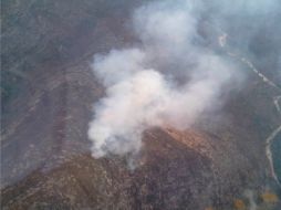 Ya suman seis mil hectáreas las incendiadas en Quintana Roo. ARCHIVO  /