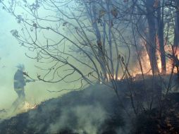 En el incendio ocurrido el 19 de abril resultaron afectadas 285 hectáreas. A. HINOJOSA  /