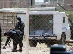 Restos humanos se observan  dentro de un vehículo forense mientras policías estatales marcan sitios para explorar. ARCHIVO  /