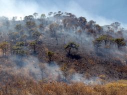Ni la superficie afectada por las llamas ni la causa probable del incencio han sido clarificadas. A. GARCÍA  /