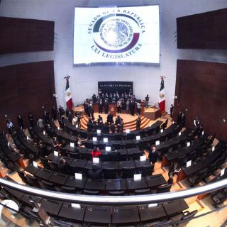 Senado aprueba que agentes del MP usen armas