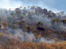 El fuego consume grandes cantidades de pastizal, arbustos y matorrales. A. GARCÍA  /