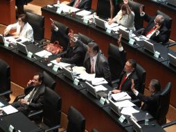 El dictamen fue avalado en lo general y lo particular por el senado de la República. EFE  /