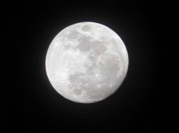 Un grupo de congresistas de Estados Unidos quieren promover viajes a la luna. ESPECIAL  /