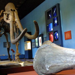 De visita por los museos de Guadalajara