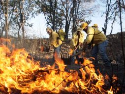 Brigadistas de la Comisión Nacional Forestal intentando detener el incendio. A. CAMACHO  /