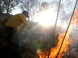 Por los recientes incendios del Bosque La Primavera, Zapopan es la localidad más afectada. A. CAMACHO  /