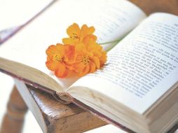 los libros se convierten en puentes mágicos que nos permiten viajar a sitios desconocidos. ESPECIAL  /