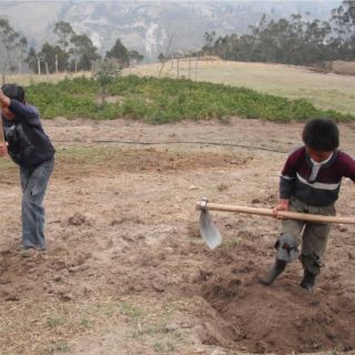 INEGI señala que uno de diez niños trabaja en NL