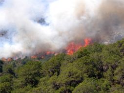 Plan DN-III, se suma a los esfuerzos de las cerca de 70 personas, que desde el día jueves iniciaron con los trabajos de control. EFE  /